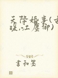 天降婚事(古暖暖,江尘御)