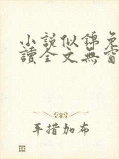 小说似锦免费阅读全文无窗口