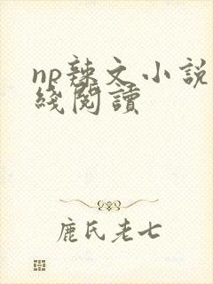 np辣文小说在线阅读