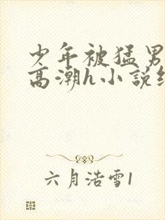 少年被猛男操到高潮h小说纯爱