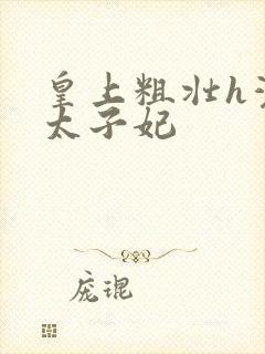 皇上粗壮h灌满太子妃