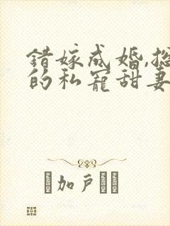 错嫁成婚,总裁的私宠甜妻