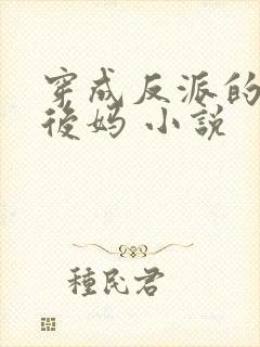 穿成反派的恶毒后妈 小说