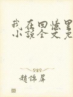 我在回忆里等你小说全文免费阅读封面