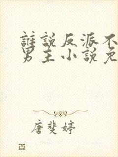 谁说反派不能当男主小说免费