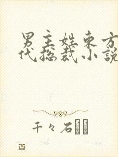 男主姓东方的现代总裁小说