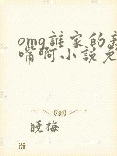 omg谁家的亲嘴啊小说免费阅读笔趣阁