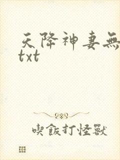 天降神妻无删减txt