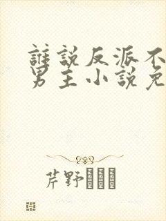 谁说反派不能当男主小说免费