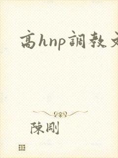高hnp调教文