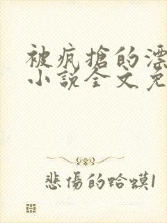 被疯抢的漂亮攻小说全文免费阅读无弹窗封面
