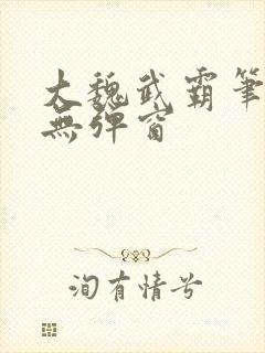 大魏武霸笔趣阁无弹窗