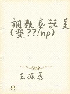 调教亵玩美人受(双??/np)