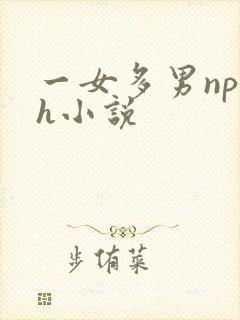 一女多男np高h小说