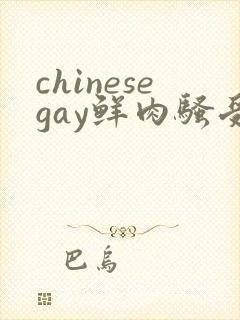 chinesegay鲜肉骚受痞子