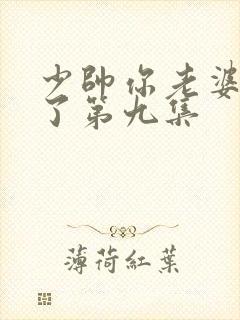 少帅你老婆又跑了第九集