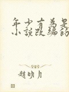 年少有为是什么小说改编的