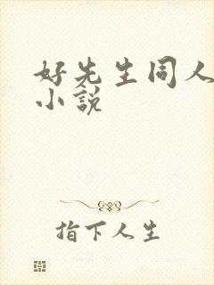 好先生同人改编小说