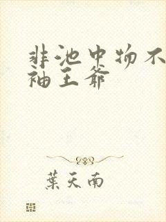非池中物不嫁断袖王爷