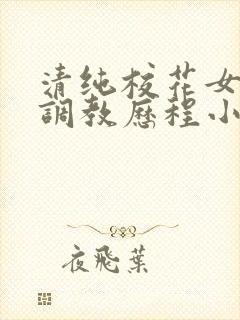 清纯校花女友的调教历程小说