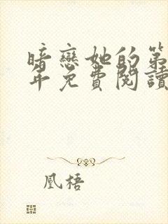 暗恋她的第十一年免费阅读全文封面