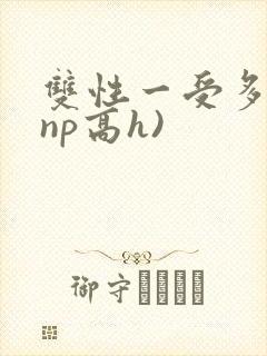 双性一受多攻(np高h)