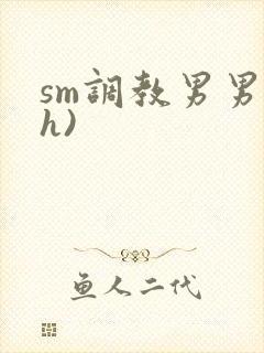sm调教男男(h)