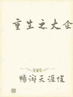 重生之大企业家