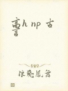 高h np 古言
