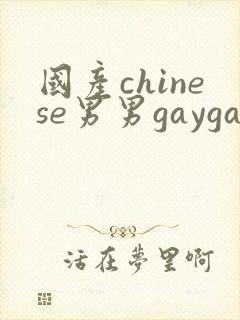 国产chinese男男gaygay在线播放