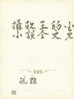 摄政王的小闲妻小说全文免费阅读
