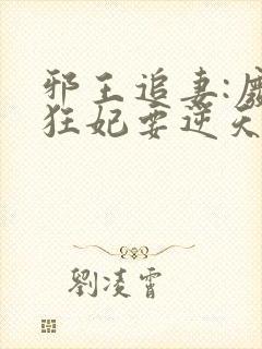 邪王追妻:废材狂妃要逆天
