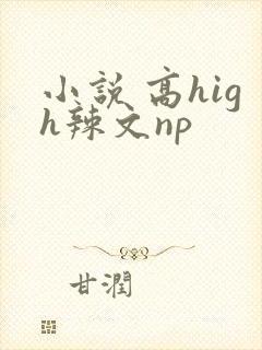 小说 高high辣文np