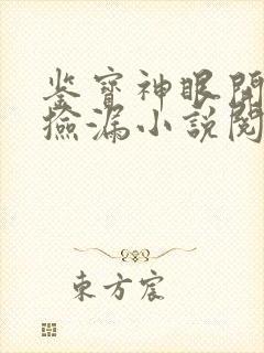鉴宝神眼开局就捡漏小说阅读全文封面
