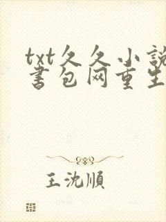 txt久久小说书包网重生小说