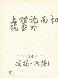 上错沈南初陆时砚番外封面