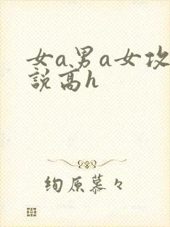 女a男a女攻小说高h