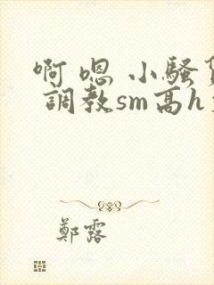 啊 嗯 小骚货 调教sm高h文