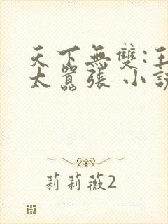 天下无双:王妃太嚣张 小说