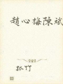 赵心梅陈斌小说