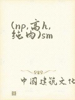 (np,高h,纯肉)sm封面