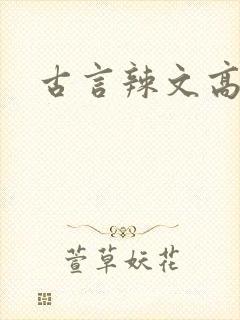 古言辣文高h封面