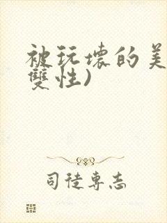 被玩坏的美人(双性)
