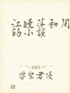 江晓萍和周校长的小说