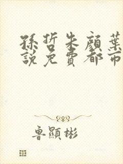 孙哲朱颜叶巧小说免费都市之医武风流