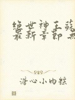 绝世神王苏莫 最新章节 无弹窗 笔趣阁