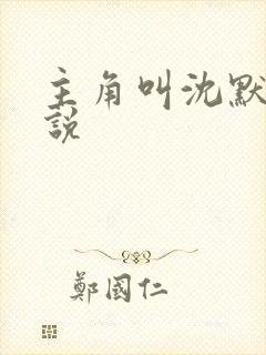 主角叫沈默的小说封面