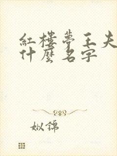 红楼梦王夫人叫什么名字
