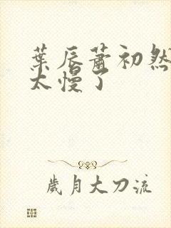 叶辰萧初然更新太慢了