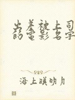 出差被上司夺走的电影名字